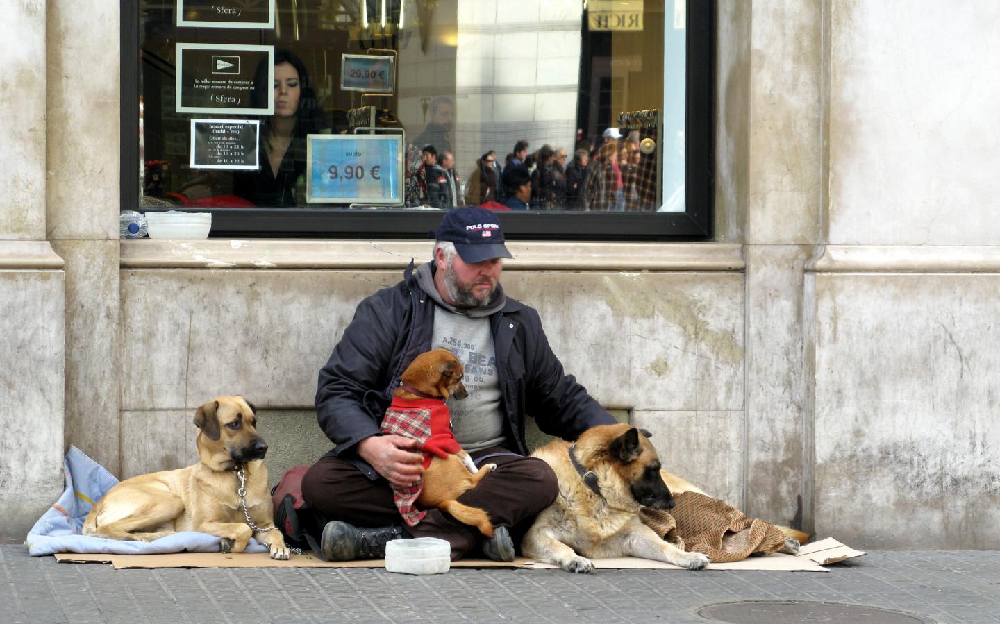 Homeless Man with Dogs