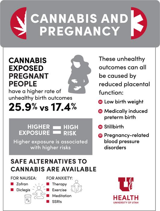 Cannabis and pregnancy image eurekalert science news releases
