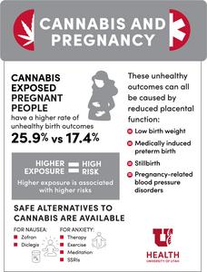 Cannabis and Pregnancy