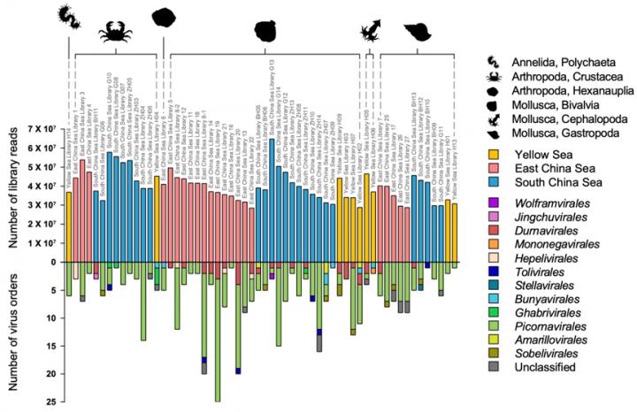 Figure 1. The overall characterization of virus distribution.