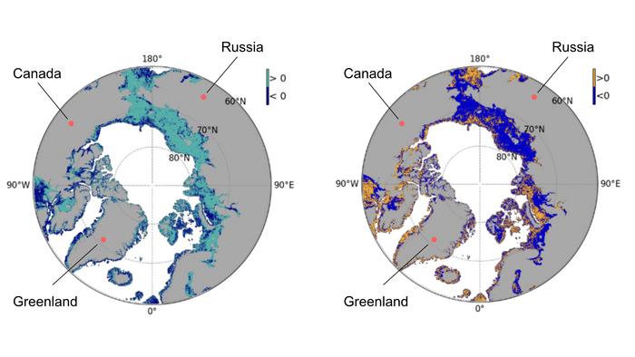 Arctic perspective map