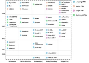 Evolution of FMs in bioinformatics