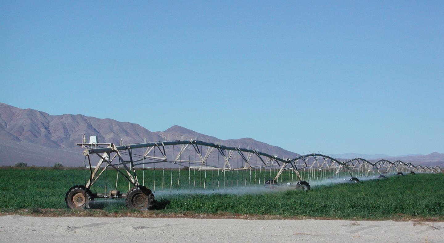 Irrigation in the Desert