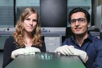 Researchers and the Hydrogel