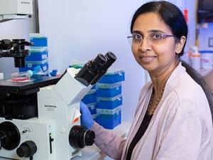 Meghana Trivedi, University of Houston professor of Pharmacy and Pharmacology