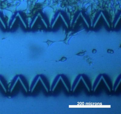 Silicon Device Graphic