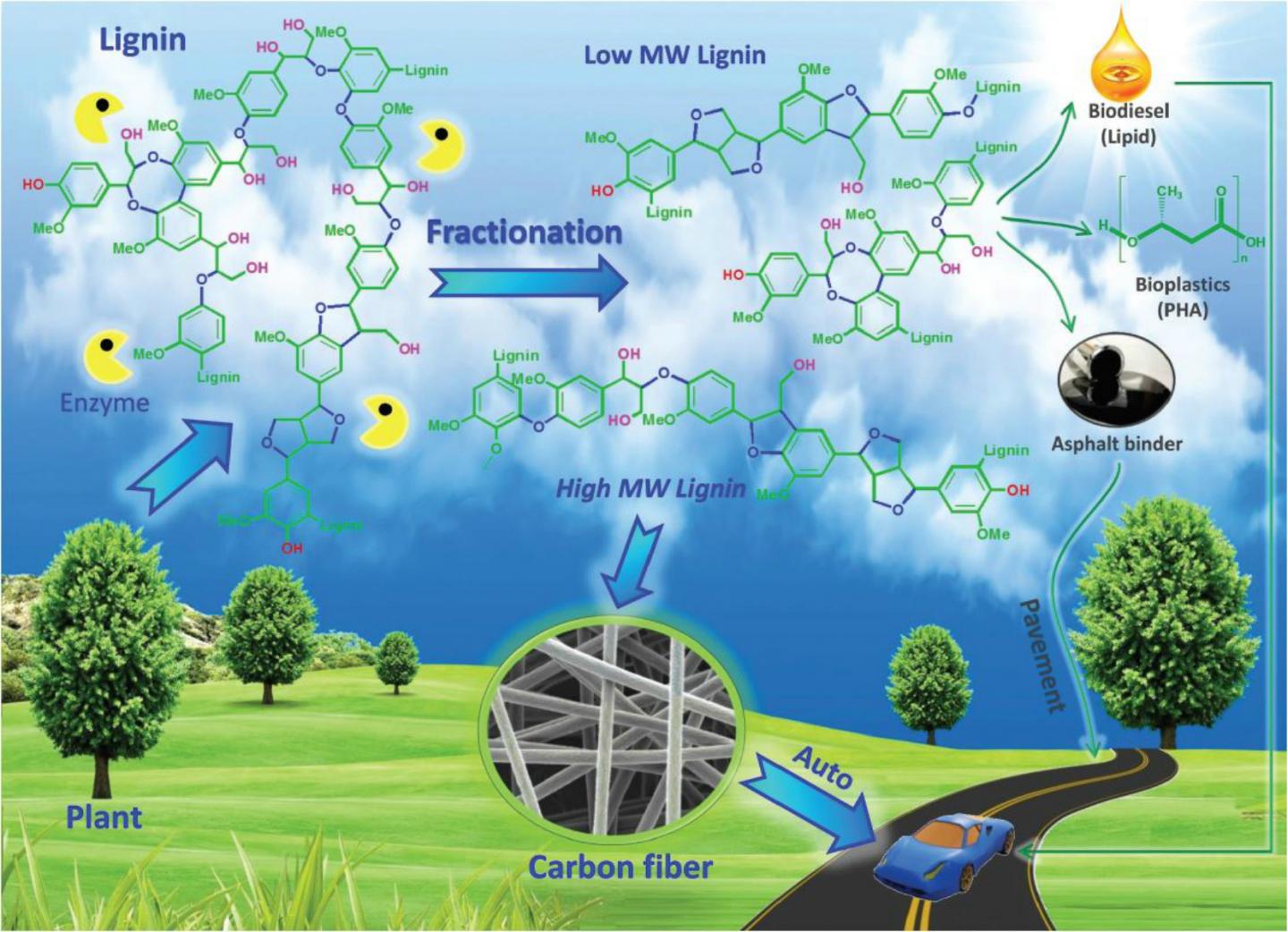 Mountains of Waste Could Lead to New US Manufacturing, Jobs