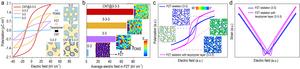 Design of ‘3-3-3’ type piezoelectric composites & Simulation on local electric field distribution, domain structure and ferroelectric property in composites with different connectivity