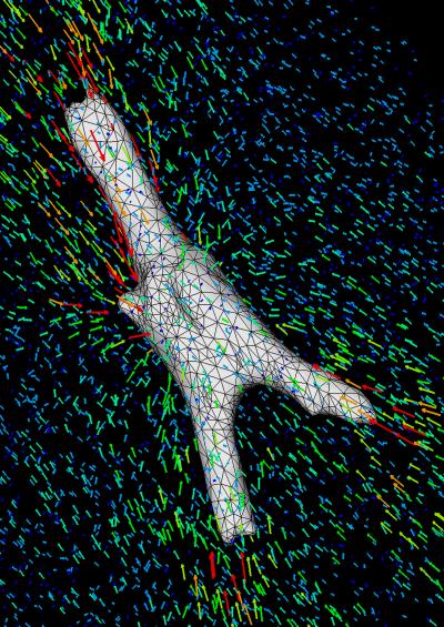3-D Traction Force Microscopy Image of Bone-like Cell