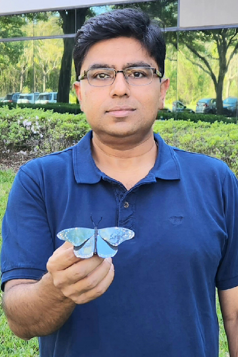 UCF Nanoscientist Debashis Chanda displays a metal butterfly coated with his innovative plasmonic paint.