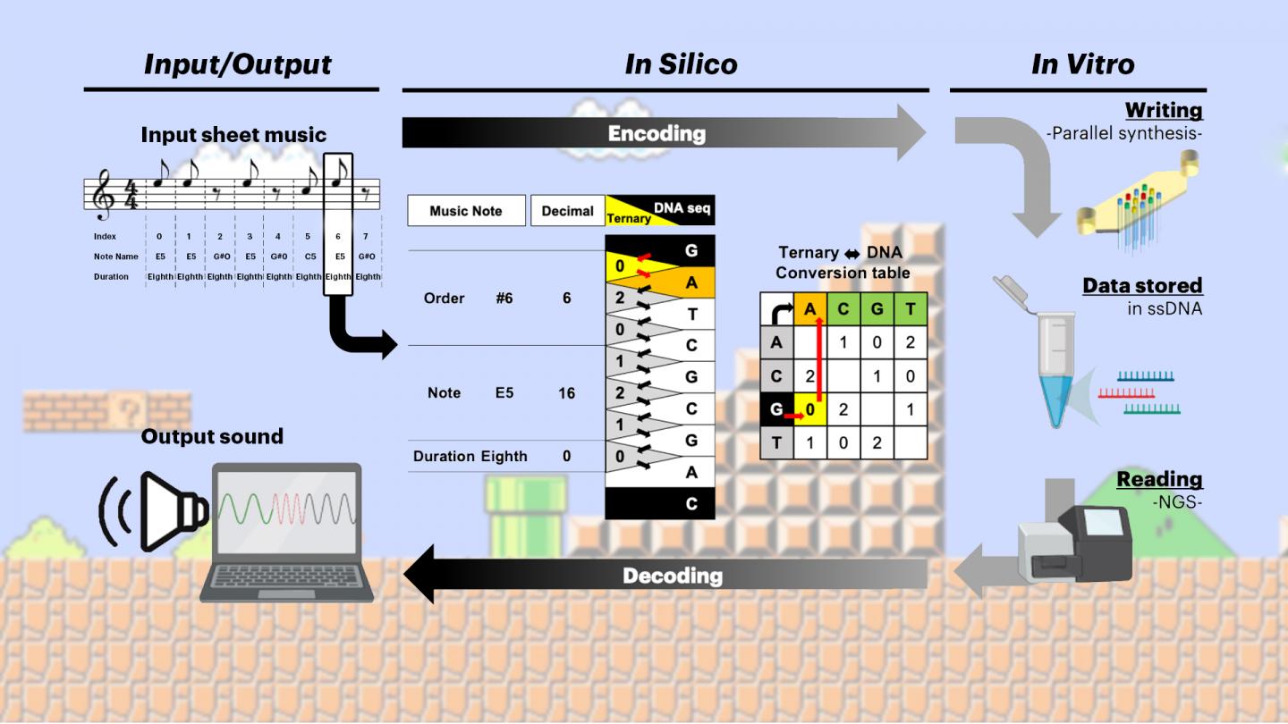 Enzymatic DNA synthesis sees the light