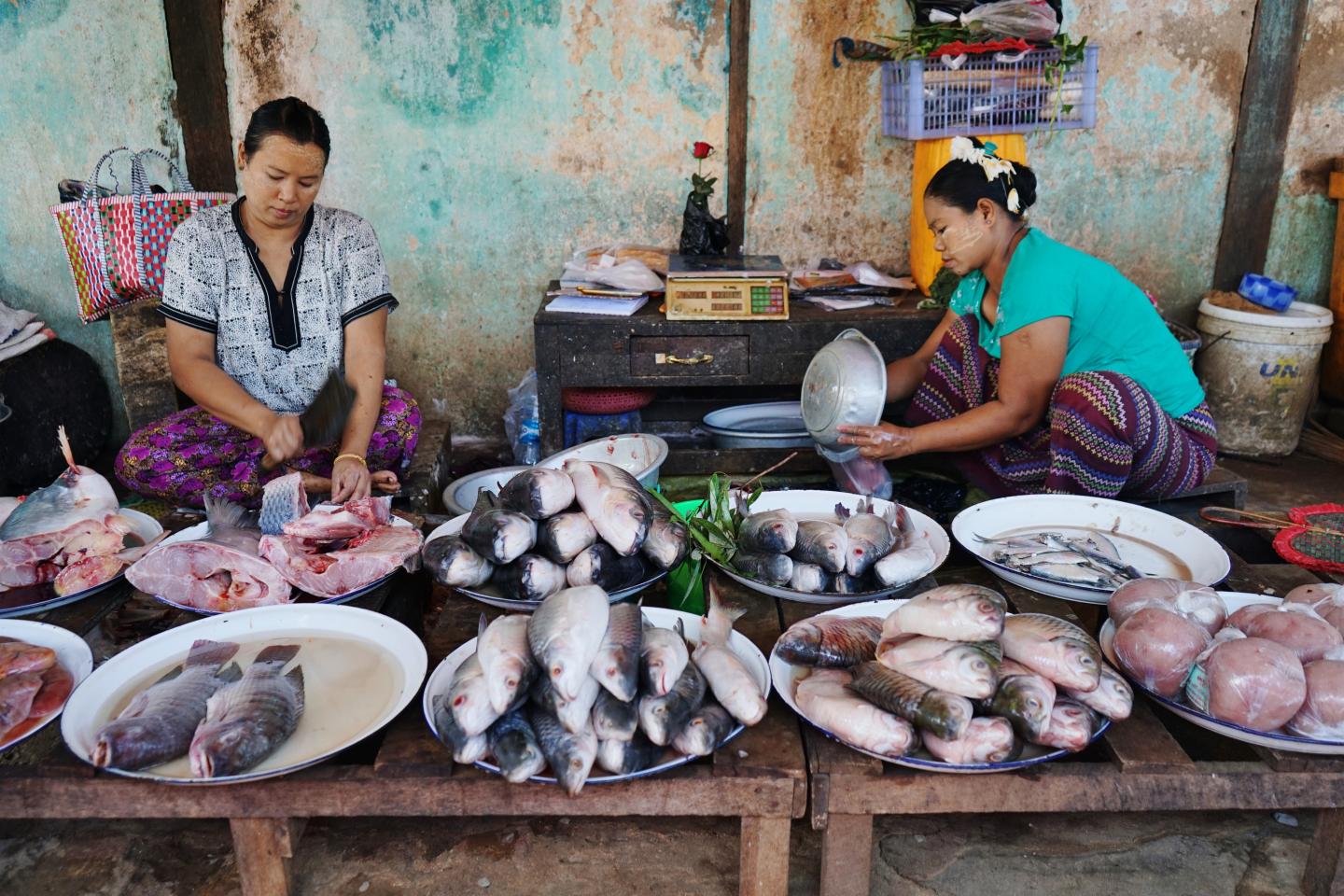 A Steady Supply of Fish Is Essential to Support Local Jobs, Food Sovereignty, and Human Well-Being