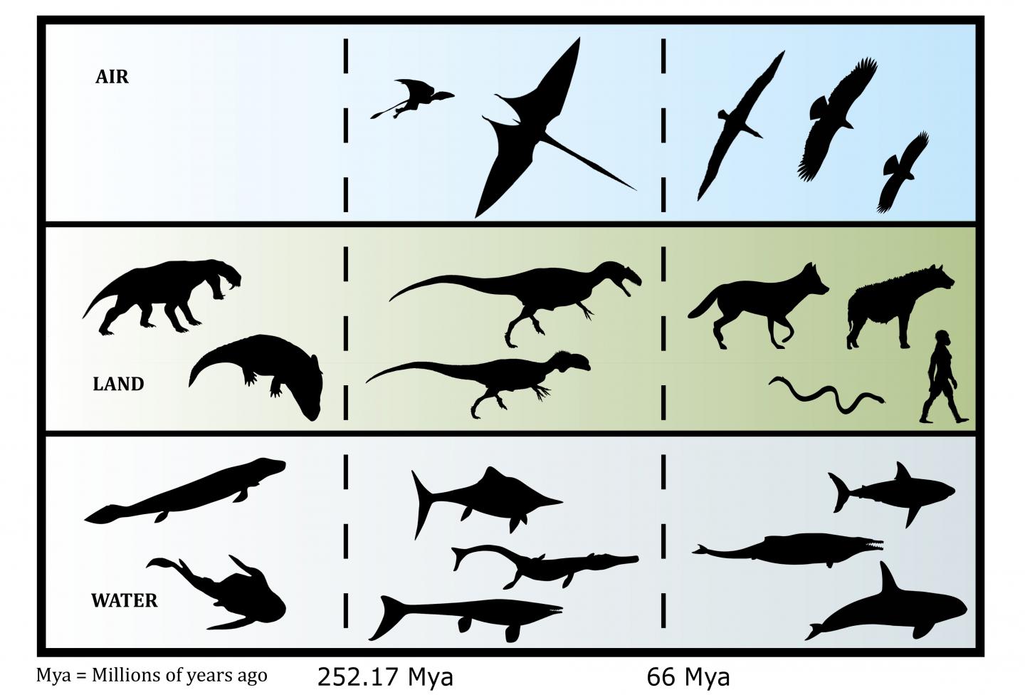 Evolutionary Timescale of Scavenging