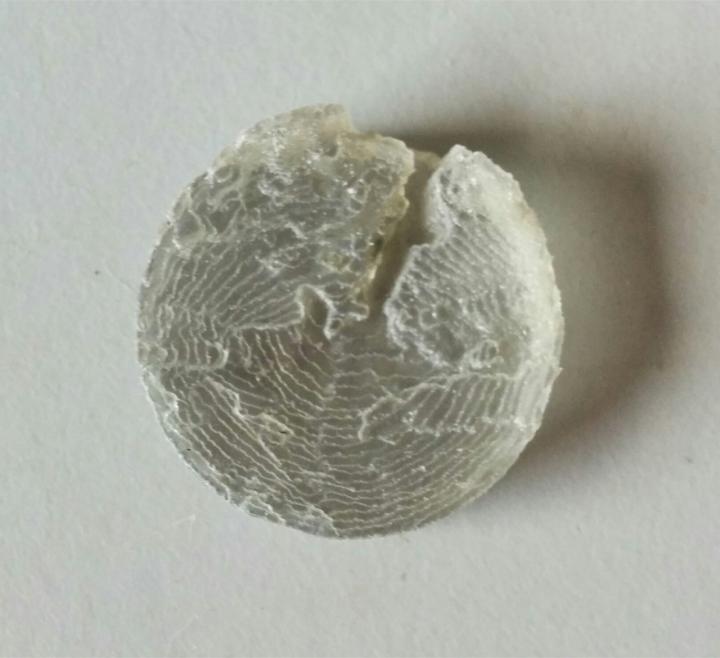 Fabricated Sample before Absorber Deposition.