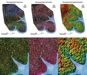 Geospatial data from the rainforest