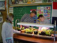 Elementary School Grow Lab