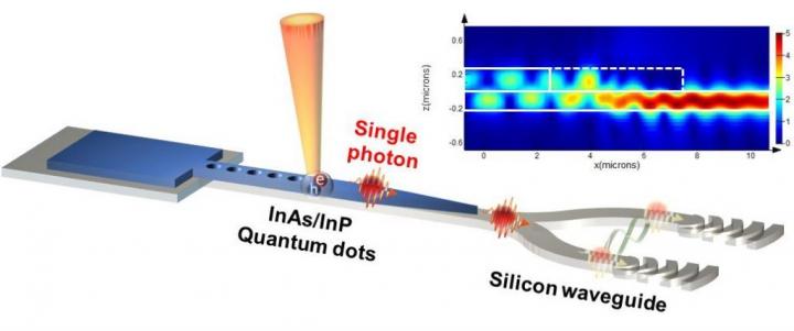 Schematic of the Integrated InP Nanobeam
