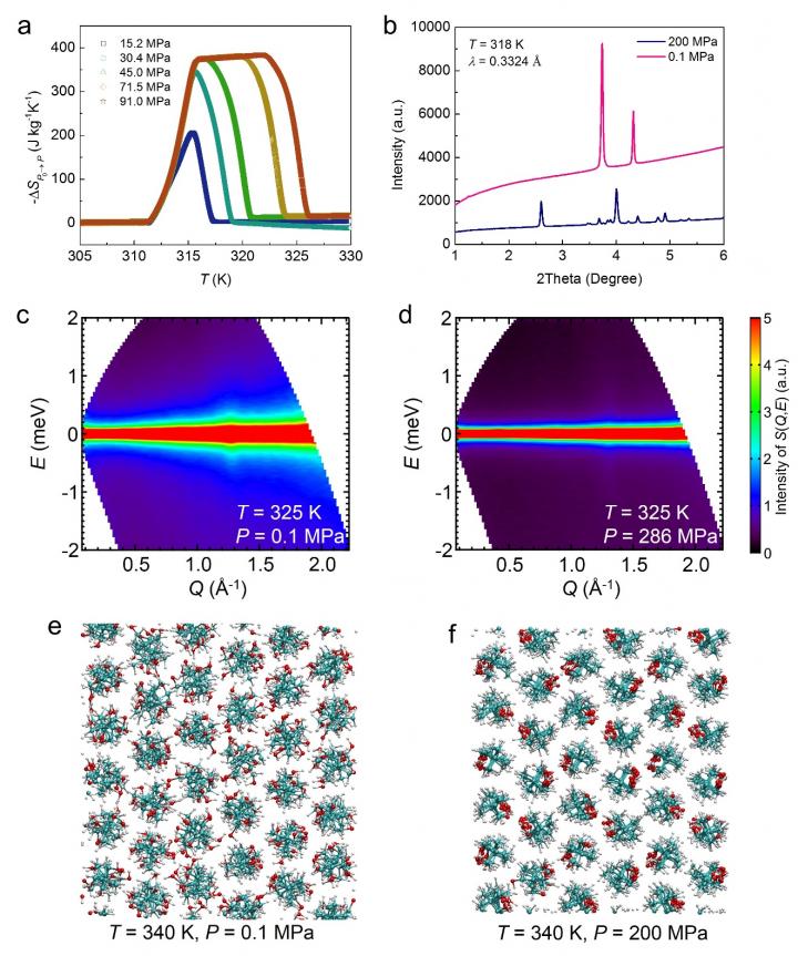 Pressure Dependent Physical Properties of the Representative Plastic Crystal NPG