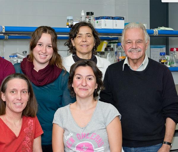 Scientific Team UB-IBUB-IRSJD-CIBERER