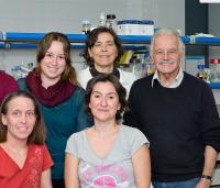Scientific Team UB-IBUB-IRSJD-CIBERER
