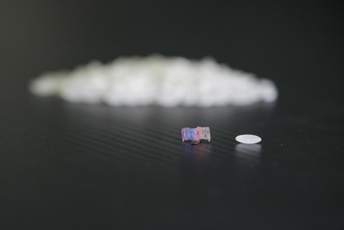 NTU Singapore scientists develop grain-sized soft robots controlled by magnetic fields for targeted drug delivery