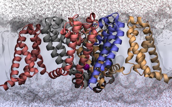 Advanced Simulations of Ion Channels