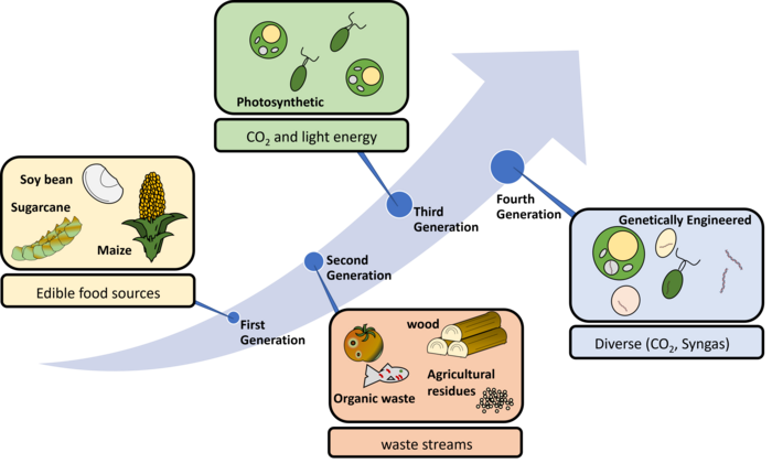 Harnessing nature to promote planetary sustainability