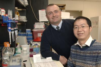 Drs. Joel Elmquist and Yong Xu, UT Southwestern Medical Center