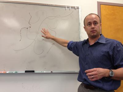 Polymer Structure Is Why Conductivity Varies