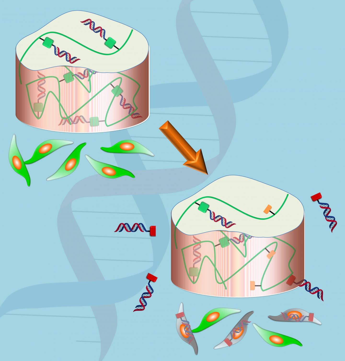 High Tech Gel Aids in Delivery of Drugs