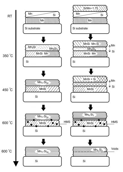 Picture 1. Schematic Illustration of the Synthesis Procedure