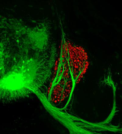 Sharing the Road (2 of 2)