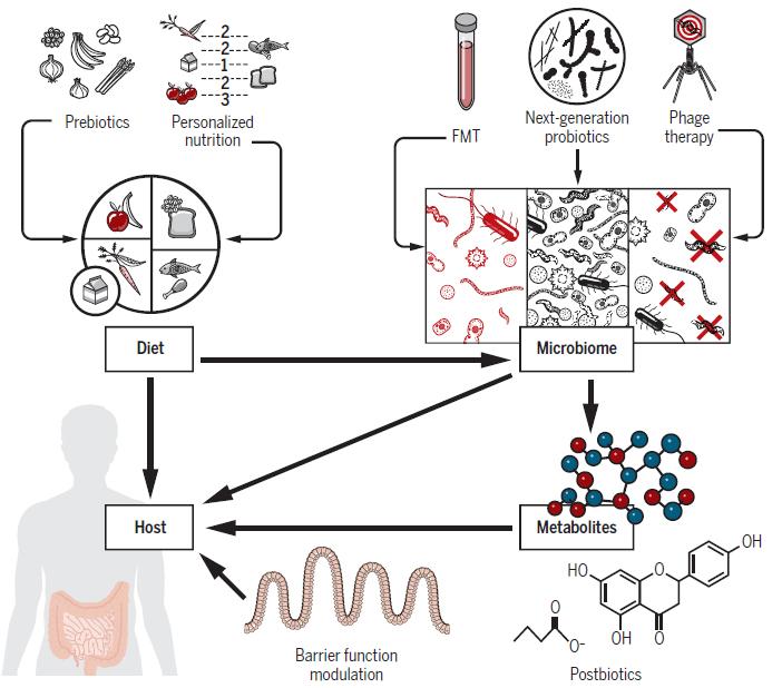 Microbiome Research Paves the Way for Personalized Therapeutics (1 of 1)