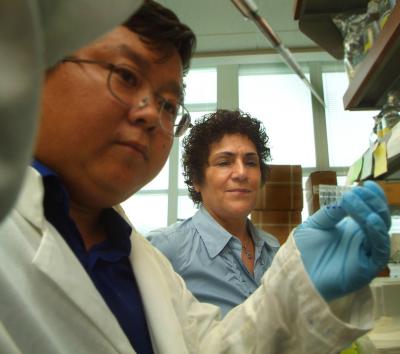 Drs. Xiongjie Jin and Nahid Mivechi, Medical College of Georgia