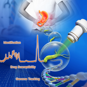 Clinical Antimicrobial Susceptibility Test Ramanometry for Helicobacter pylori