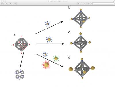 Nanoassembly Using DNA Octahedrons