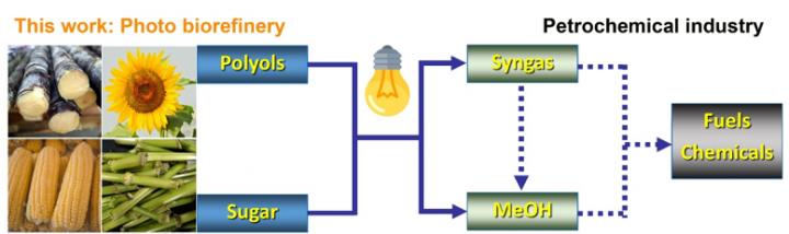 Methanol and syngas act as the platform chemical connecting the biorefinery and petrochemical industry