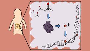 Formaldehyde regulates enzymes involved in epigenetic methylation of DNA