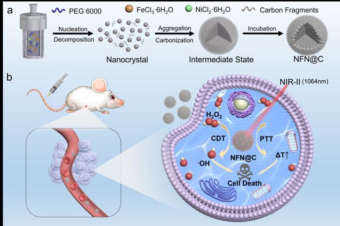 Magnetic Catalysts Enhance Tumor Treatment via Electronic Density Regulation