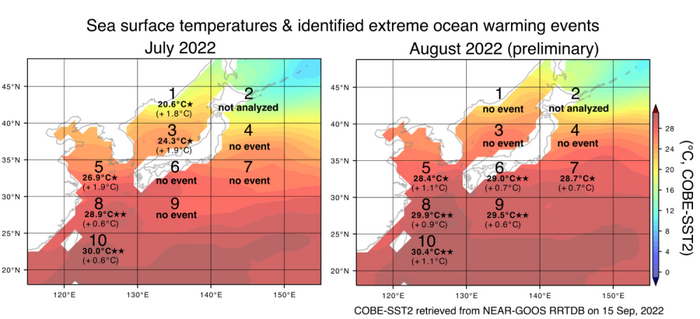 Observations in 2022