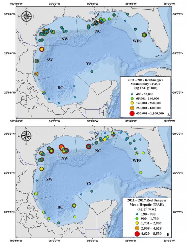 Concentration of PAHs in Red Snapper