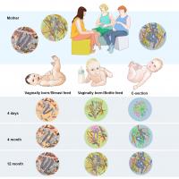 Factors Affecting Infant Microbiome Development