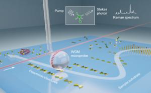 WGM microprobe for molecular detection and imaging.