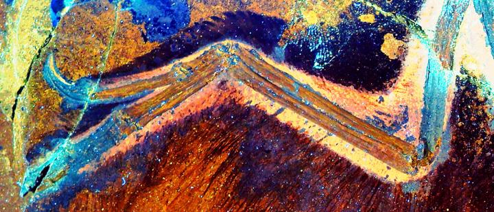 The Wing of the Bird-Like Feathered Dinosaur <i>Anchiornis</i> under Laser-Stimulated Fluorescence