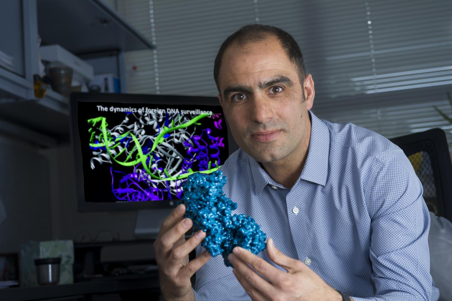 Blake Wiedenheft, Montana State University 