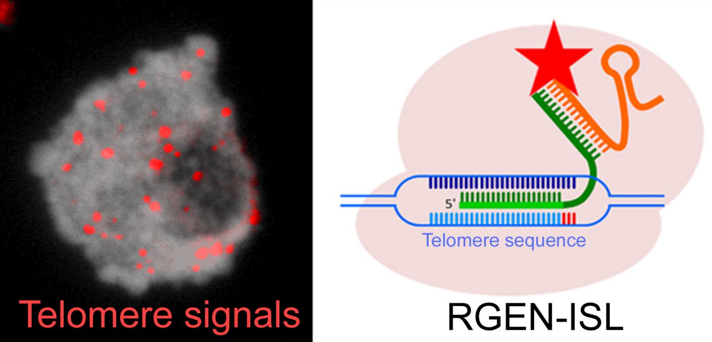 RGEN-ISL