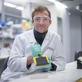 James Vince, Walter and Eliza Hall Institute