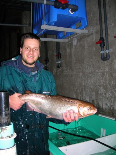 Dylan J. Fraser, Concordia University (1 of 2)