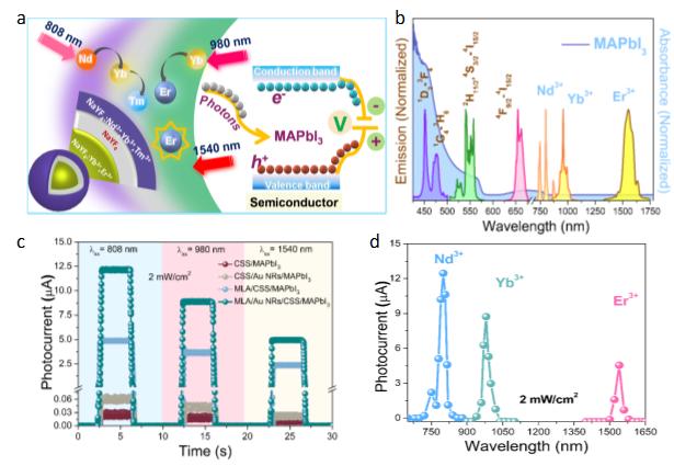Figure 2|Cascading upconversion amplification for multispectral narrowband NIR photodetections.