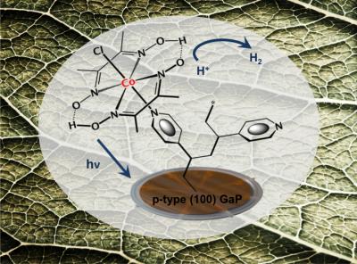 Cobaloxime Catalyst for Solar Fuel